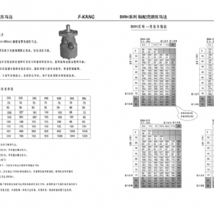 BMH系列擺線液壓馬達(dá)