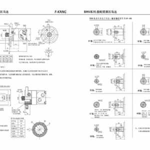 BMV系列擺線液壓馬達