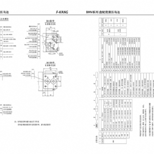 BMV系列擺線液壓馬達