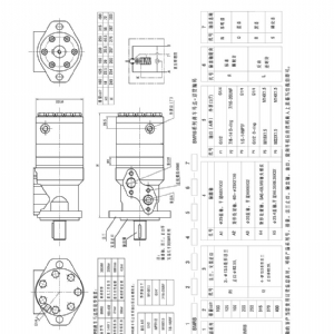 BMRB剎車系列擺線液壓馬達(dá)